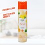 IRGE DEODORANTE AMBIENTE SPRAY  AGRUMI ML. 300