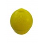 SALVA LIMONE