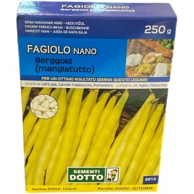 SEMI DI FAGIOLO NANO MANGIATUTTO BERGGOLD GR. 250 SEMI DI FAGIOLO NANO MANGIATUTTO BERGGOLD GR. 250