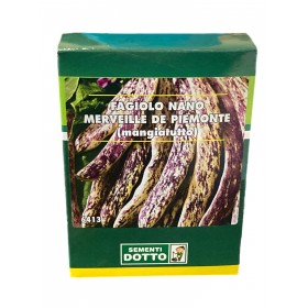 SEMI DI FAGIOLO NANO MANGIATUTTO MERVEILLE DE PIEMONTE GR. 250 SEMI DI FAGIOLO NANO MANGIATUTTO MERVEILLE DE PIEMONTE GR. 250