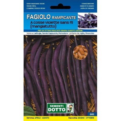 SEMI DI FAGIOLO RAMPICANTE MANGIATUTTO A COSSE VIOLETTE SANS FL GR. 250