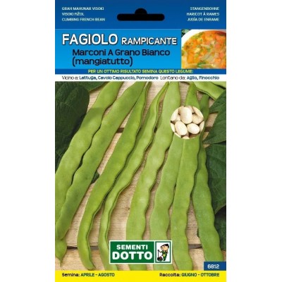 SEMI DI FAGIOLO RAMPICANTE MANGIATUTTO MARCONI GRANO BIANCO GR. 250