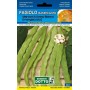 SEMI DI FAGIOLO RAMPICANTE MANGIATUTTO MARCONI GRANO BIANCO GR. 250