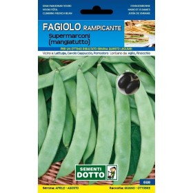 SEMI DI FAGIOLO RAMPICANTE MANGIATUTTO SUPERMARCONI GR. 250 SEMI DI FAGIOLO RAMPICANTE MANGIATUTTO SUPERMARCONI GR. 250