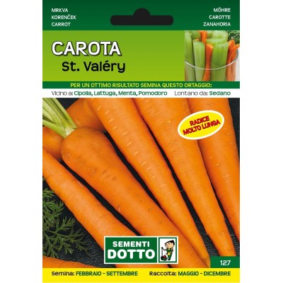 DOTTO SEMI DI CAROTA SAINT VALERY