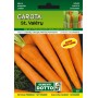 DOTTO SEMI DI CAROTA SAINT VALERY