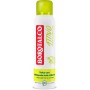 BOROTALCO DEODORANTE ATTIVO CEDRO E LIME SPRAY 150ML