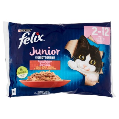 FELIX LE GHIOT. 85GRX4 JUNIOR