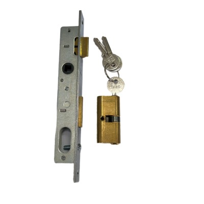 ISEO 750.15.2 SERRATURA PROFIL VERT 20 CON CILINDRO MM. 20