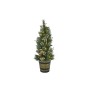 Nataluna Albero di Natale Luminoso con 210 Rami e 100 LED – Altezza 120 cm