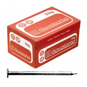 CHIODI CARPENTERIA TESTA PIANA CAVATORTA 20x100 KG. 5